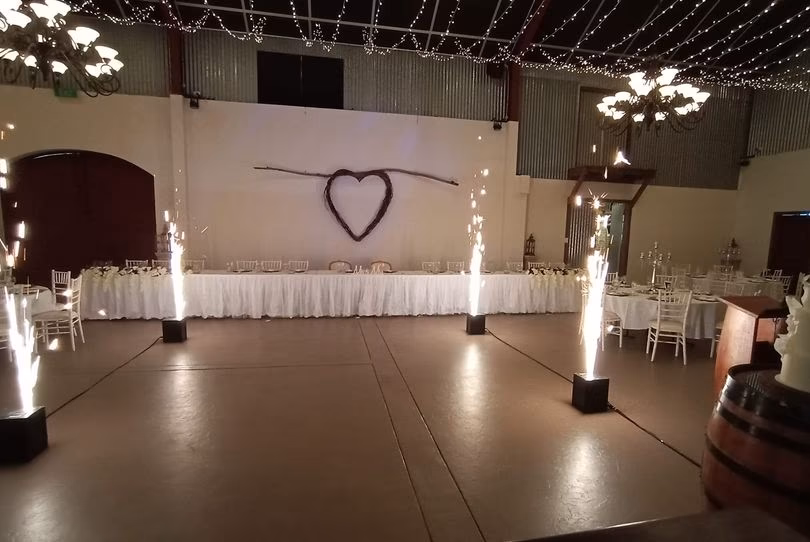 Excite FX & Entertainment - Wedding Services in null